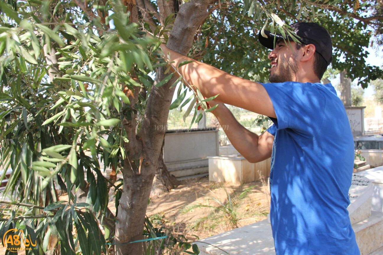 lajna ekram j83 (15).jpg